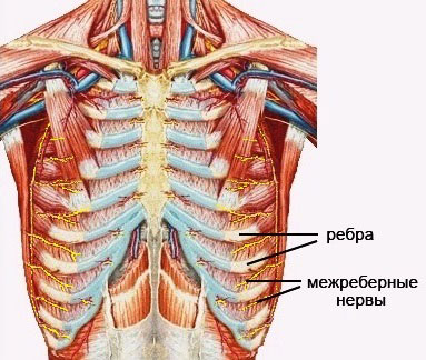 Заболевание спины и мышц спины